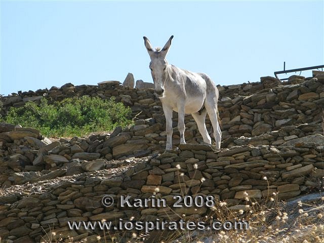 09_064Kar08ios